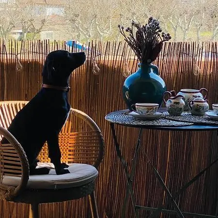 Apartament アパート *